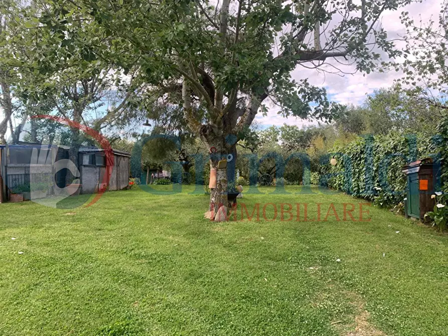 Immagine 2 di Terreno agricolo in vendita  in Via dell'uliveta a Livorno