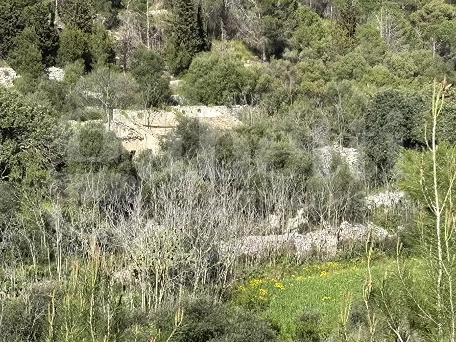 Immagine 26 di Rustico / casale in vendita  in Contrada Petraro, snc a Chiaramonte Gulfi