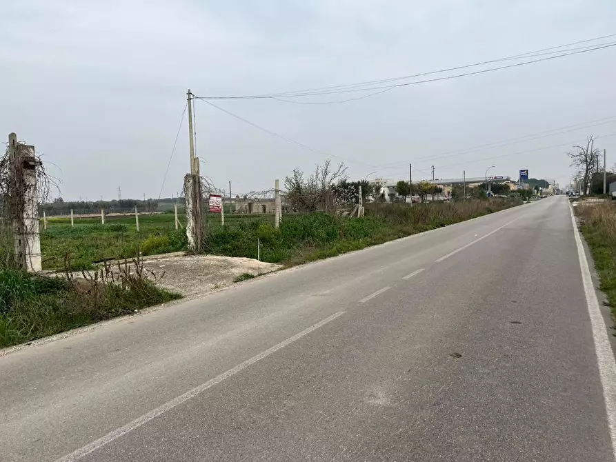 Immagine 4 di Terreno residenziale in vendita  in Via LUCERA a San Severo
