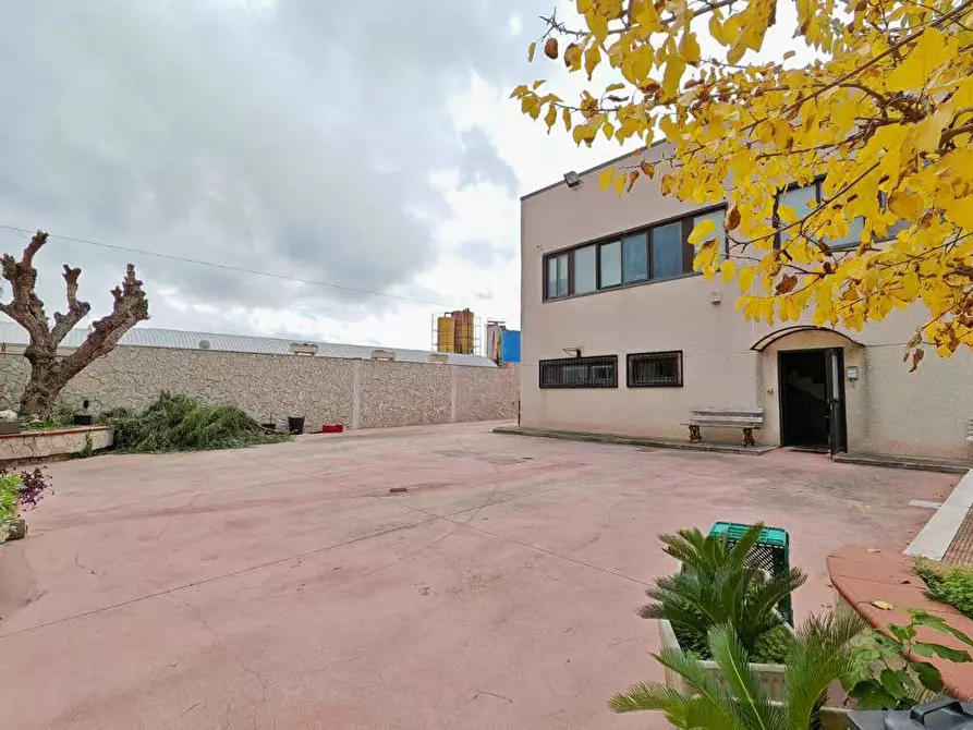 Immagine 16 di Capannone industriale in vendita  in Via Papa Giovanni XXIII, 159 a Trani