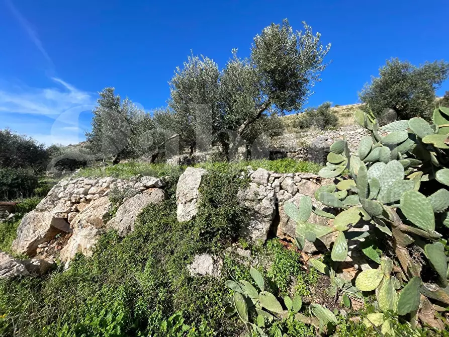 Immagine 7 di Terreno agricolo in vendita  in Via Sant'Agostino, snc a Gaeta