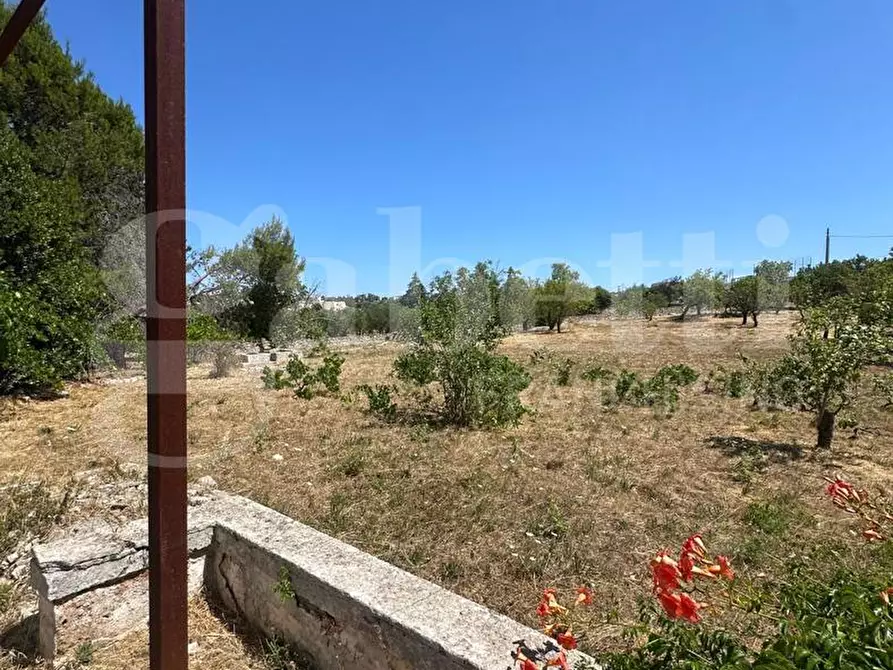 Immagine 14 di Villa in vendita  in Contrada Lamardilla, sn a Ostuni