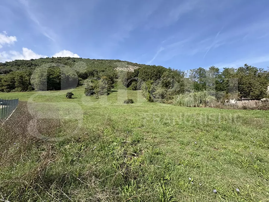 Immagine 6 di Terreno agricolo in vendita  in LocalitÃ  Valle Franca e Petreta, snc a Montelanico