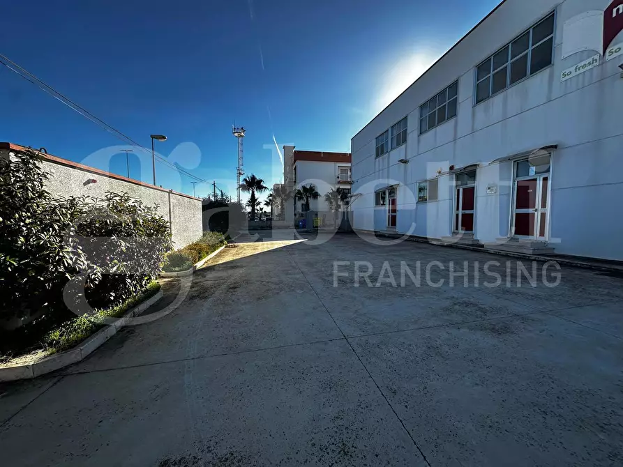 Immagine 6 di Ufficio in vendita  in Via Dei Calafati, 7 a Molfetta