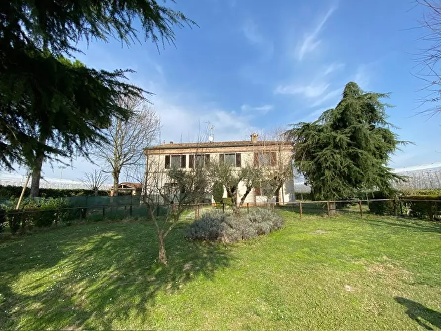 Immagine 36 di Appartamento in vendita  in Via martorella a Forli'