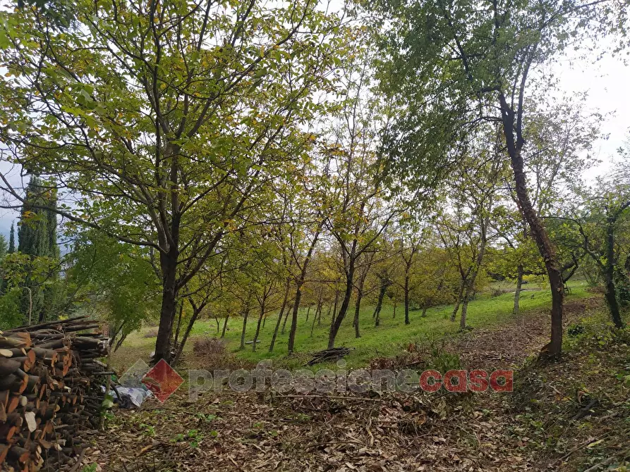 Immagine 13 di Terreno agricolo in vendita  in Via Monteluce Via Monterone a Perugia