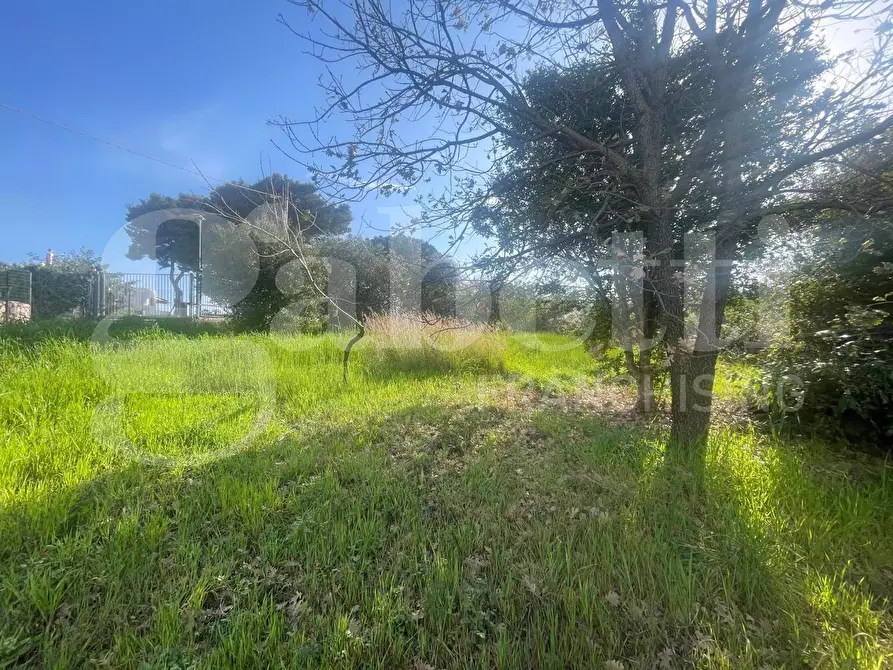 Immagine 6 di Terreno agricolo in vendita  in LocalitÃ  Monte a Mare, s.n.c a Gaeta