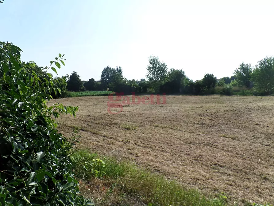 Immagine 11 di Terreno residenziale in vendita  in Via Falzoni, 135 a Cento