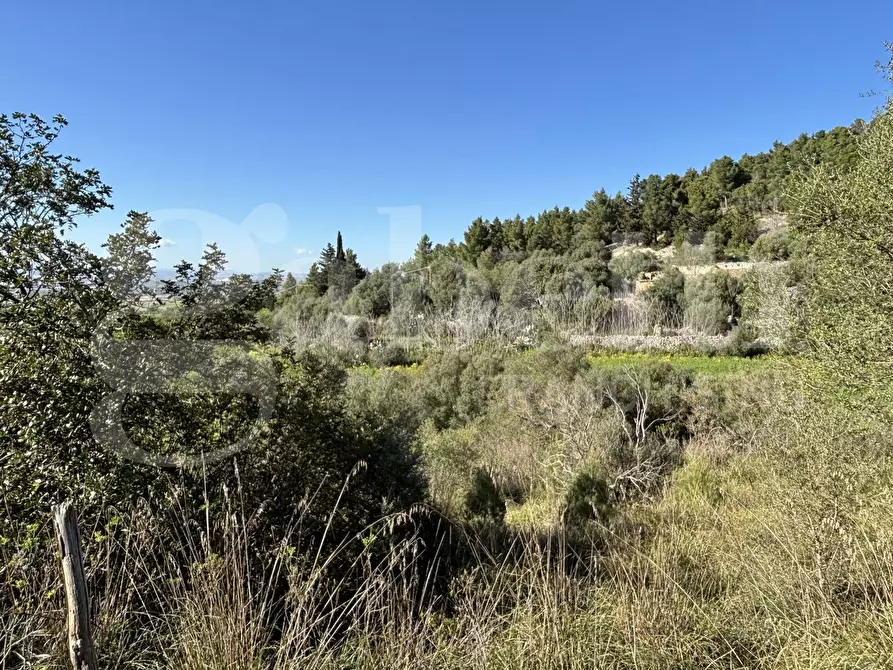 Immagine 5 di Rustico / casale in vendita  in Contrada Petraro, snc a Chiaramonte Gulfi