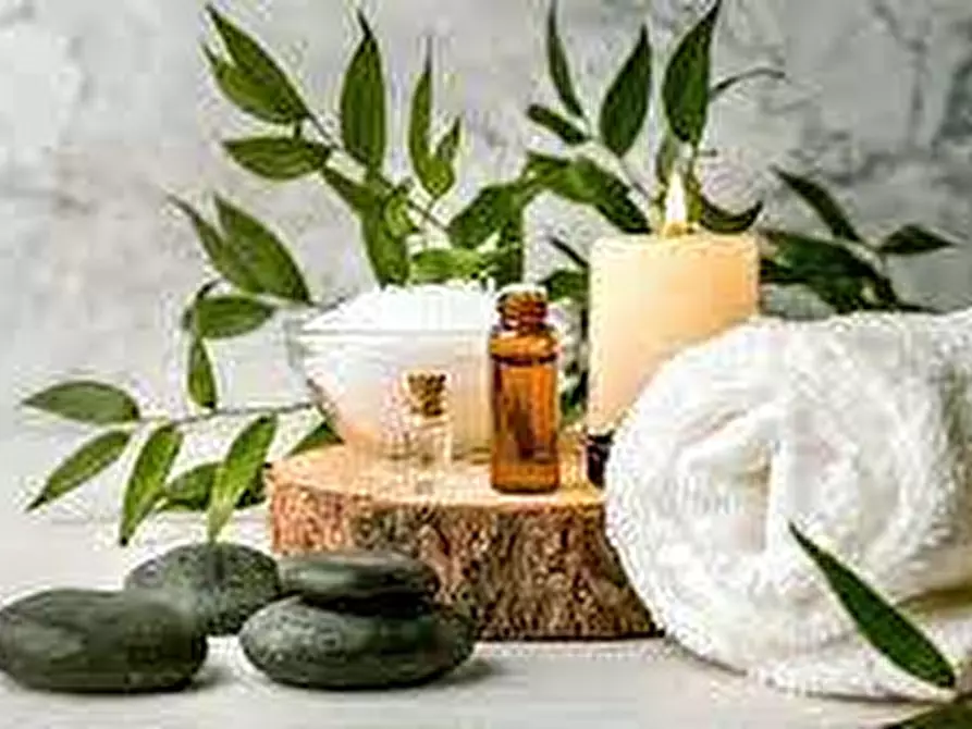 Immagine 3 di Attività commerciale in vendita  in Via cerere navicella, snc a Anagni