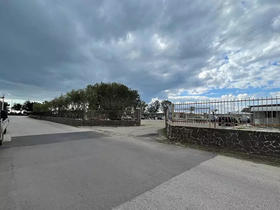 Immagine 5 di Terreno agricolo in vendita  in Via elorina, snc a Siracusa