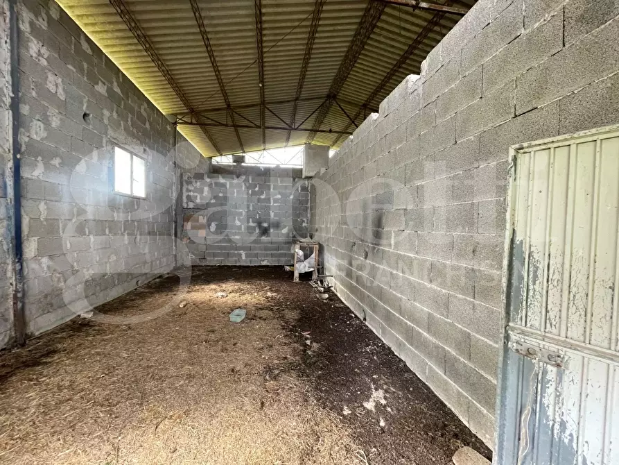 Immagine 5 di Villa in vendita  in Strada DELLA CASTELLINA, 00 a Oriolo Romano