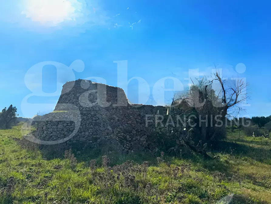 Immagine 5 di Baita in vendita  in Contrada San Giovanni, snc a Galatina