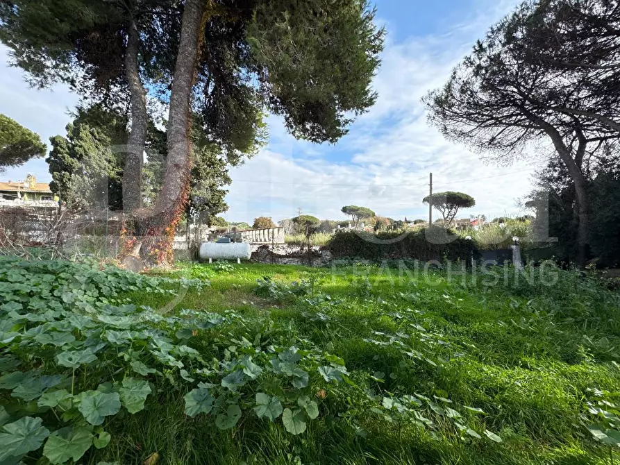 Immagine 7 di Casa bifamiliare in vendita  in Via tirso, 48 a Ardea