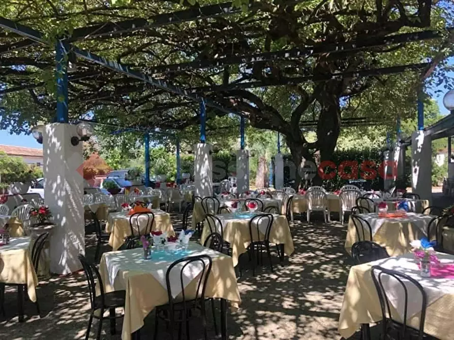 Immagine 1 di Bar / Ristorante in vendita  in Via Punta Fiume, snc a Sessa Aurunca