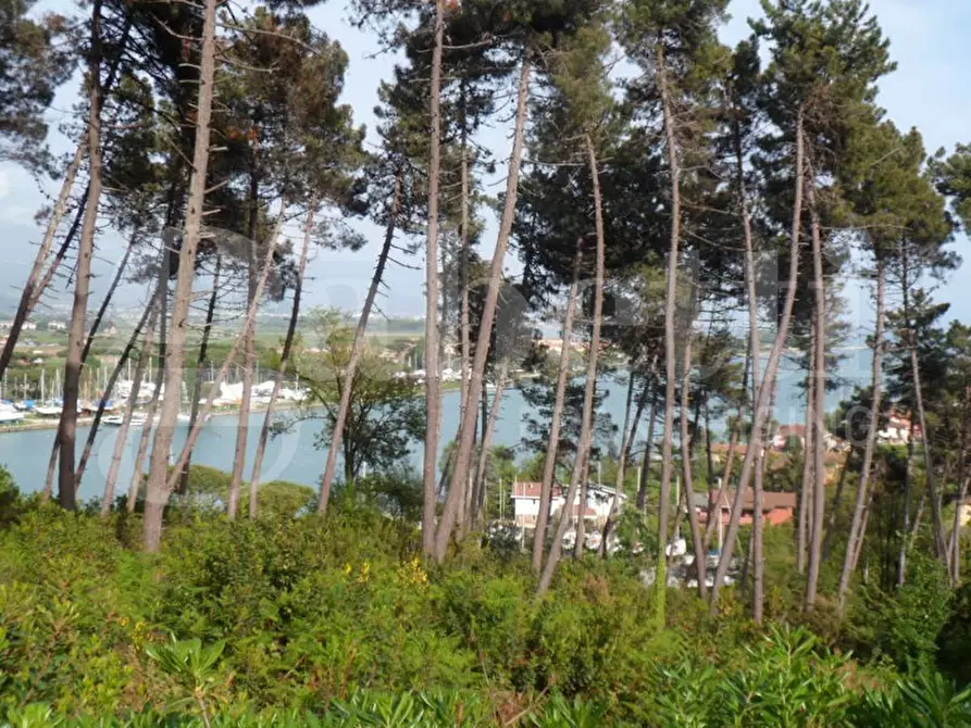 Immagine 8 di Villa in vendita  in Via DELLA PACE, 8 a Ameglia