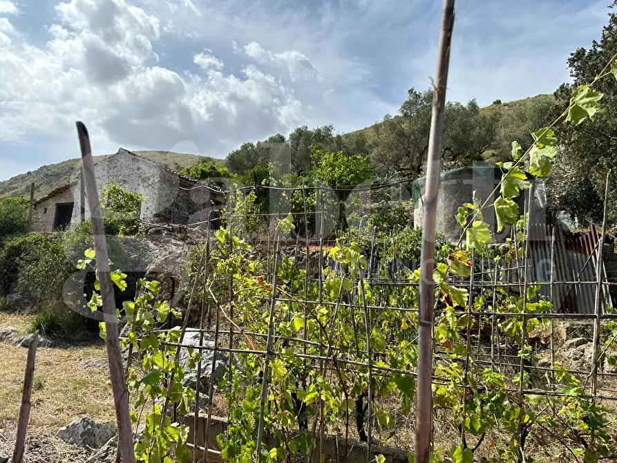 Immagine 22 di Terreno agricolo in vendita  in Via Sant'Agostino, snc a Gaeta