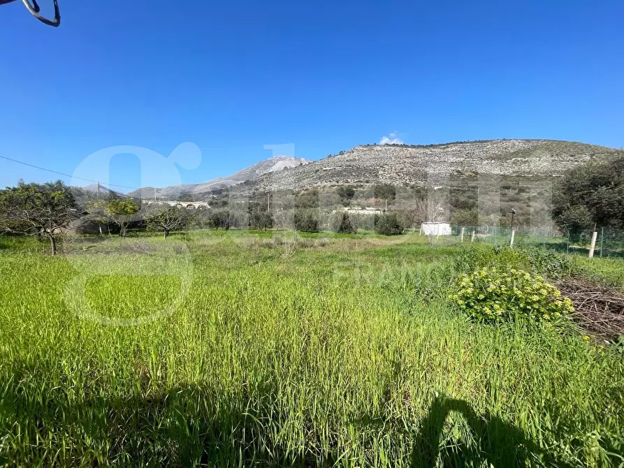Immagine 8 di Terreno agricolo in vendita  in Via dell'agricoltura, s.n.c. a Gaeta