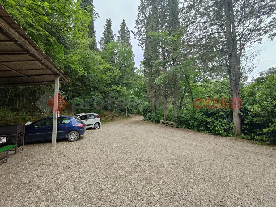 Immagine 11 di Terreno agricolo in vendita  in Via di castagneto a Empoli