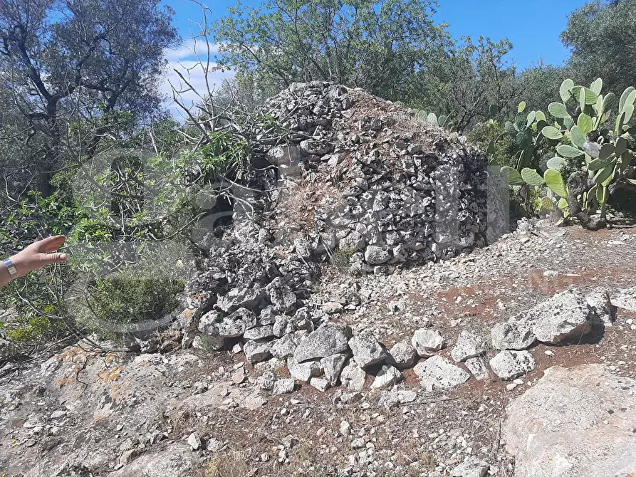 Immagine 6 di Terreno agricolo in vendita  in Contrada la chiusa, sn a Ostuni