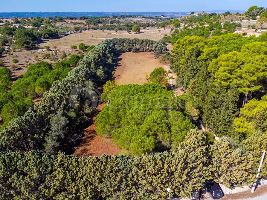 Immagine 8 di Terreno agricolo in vendita  in Via Cava Grande, 1 a Avola