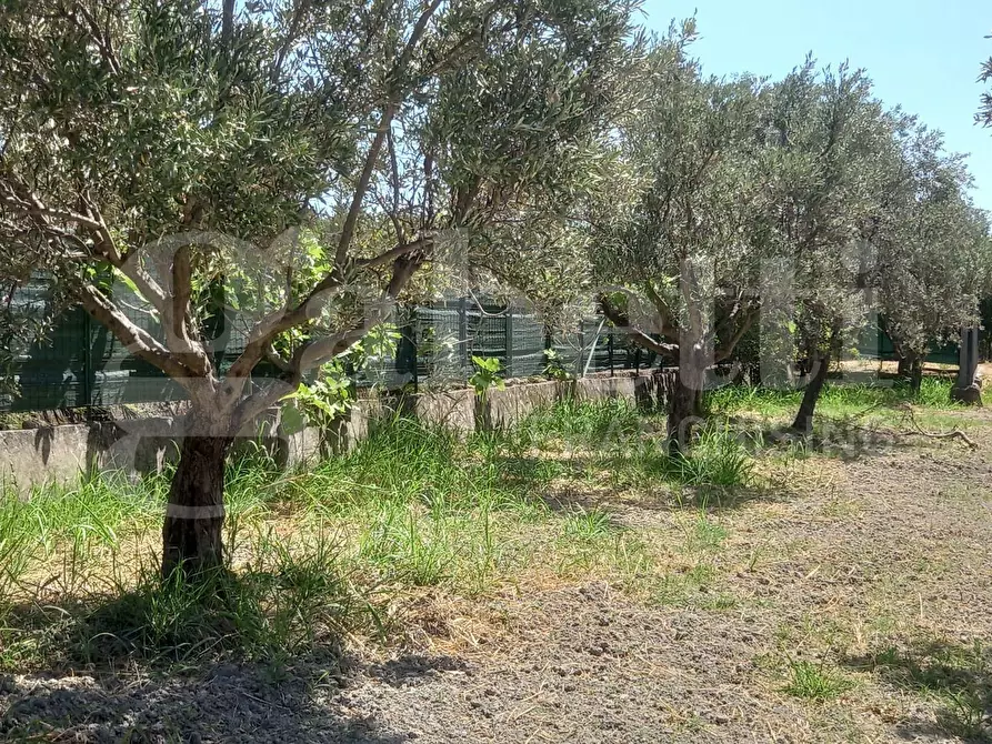Immagine 11 di Casa indipendente in vendita  in Via Puglia, snc a Catanzaro