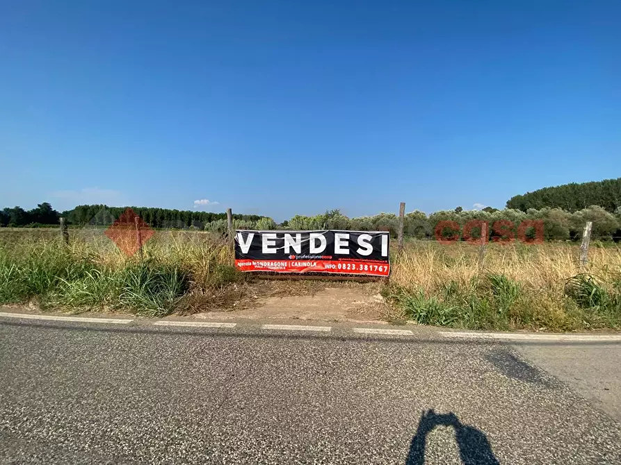 Immagine 25 di Terreno agricolo in vendita  in LocalitÃ  Starzella, SNC a Falciano Del Massico
