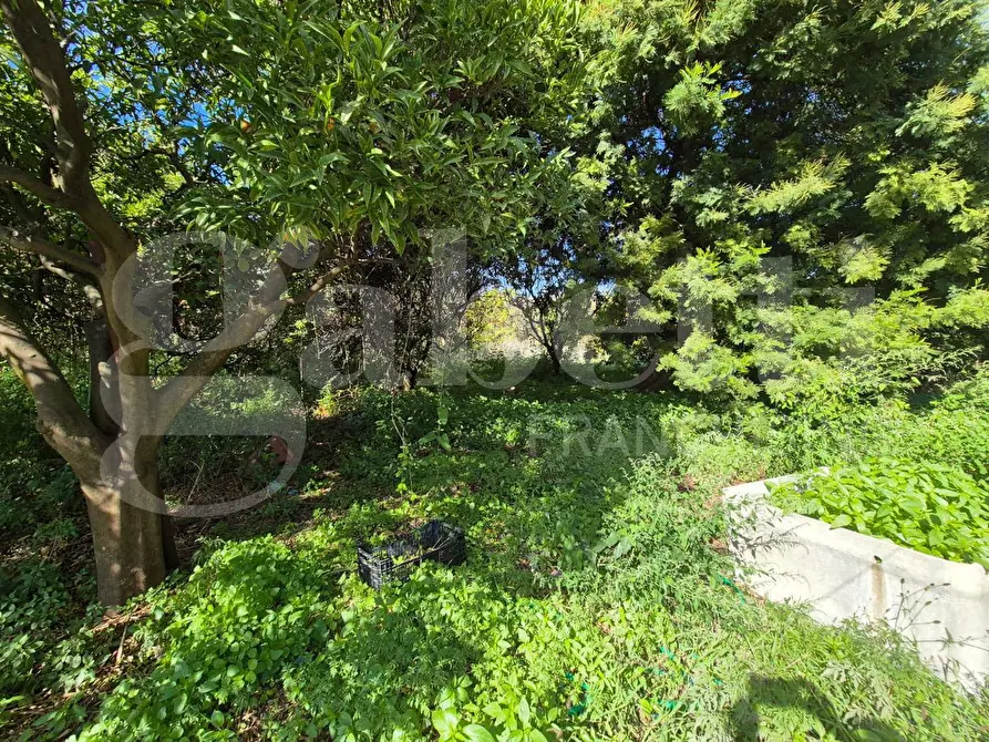 Immagine 4 di Casa indipendente in vendita  in Via Madonna del Principio, 23 a Torre Annunziata