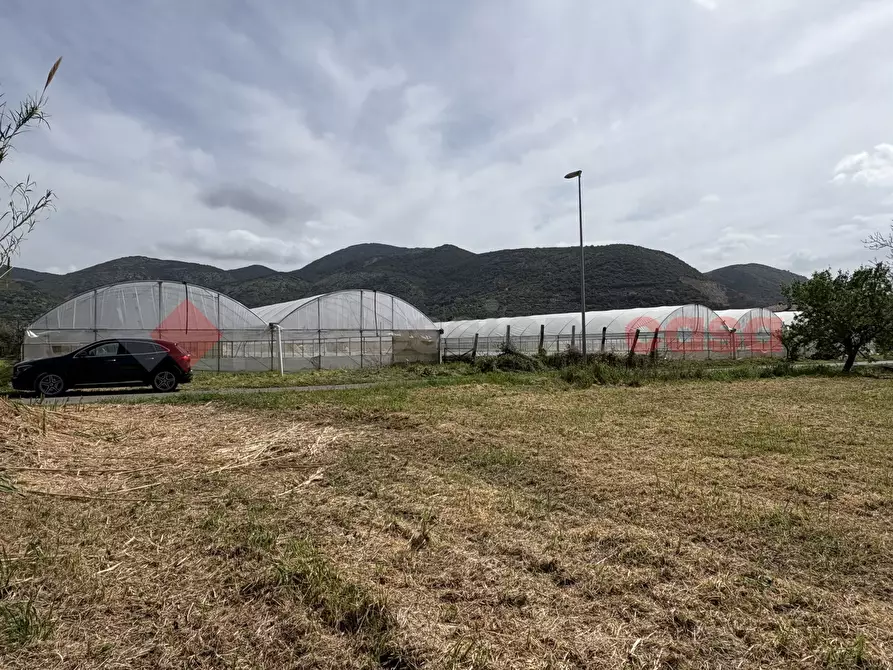 Immagine 12 di Terreno agricolo in vendita  in Via PONTE DI FERRO, 74 a Terracina