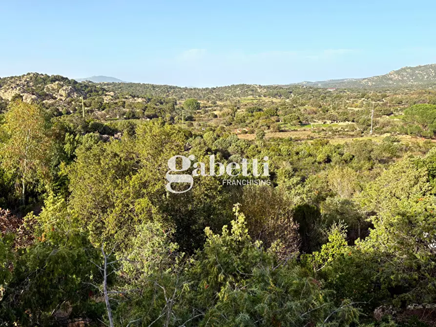 Immagine 31 di Magazzino in vendita  in LocalitÃ  Sas Enas, 2 a Padru