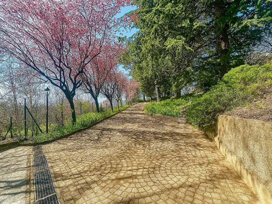 Immagine 39 di Casa bifamiliare in vendita  in Strada Eremo, 40/3 a Pecetto Torinese