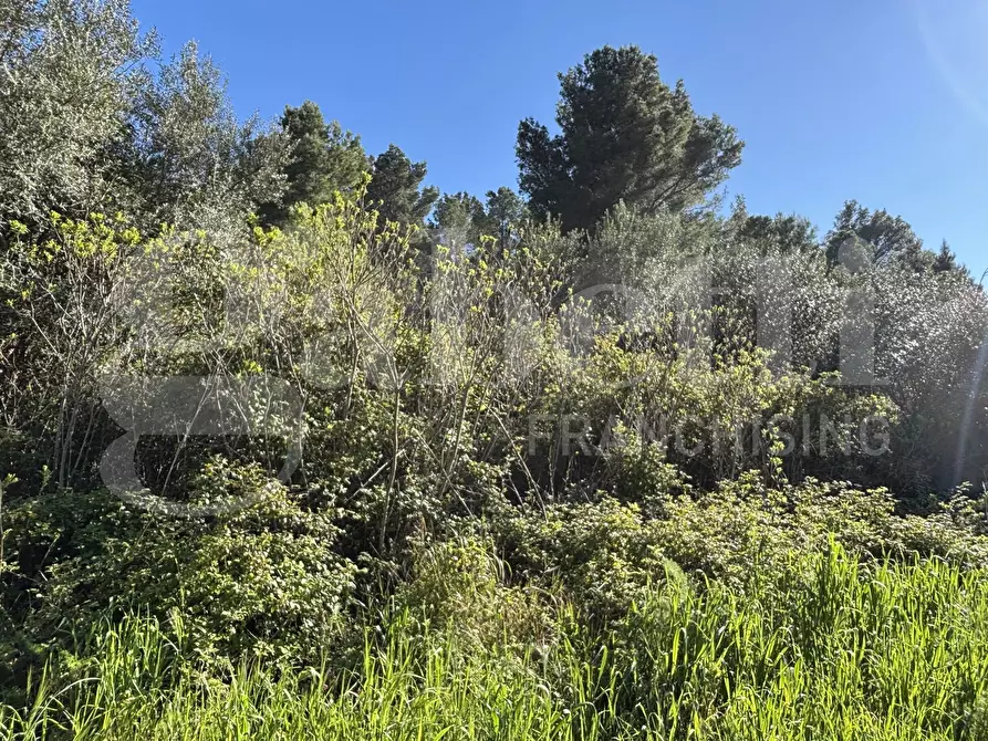 Immagine 9 di Rustico / casale in vendita  in Contrada Petraro, snc a Chiaramonte Gulfi
