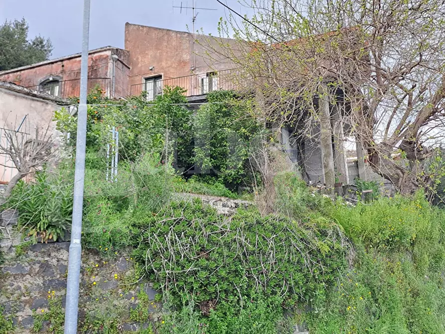 Immagine 2 di Casa indipendente in vendita  in Via Piedimonte a Mascali