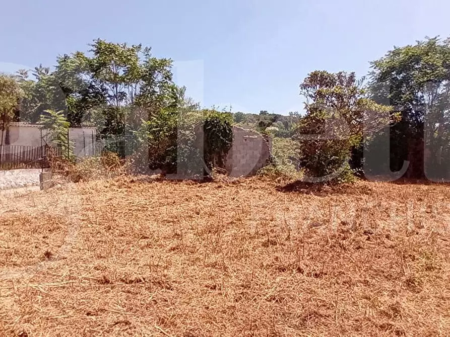 Immagine 8 di Terreno agricolo in vendita  in LocalitÃ  San Vito, s.n.c. a Gaeta