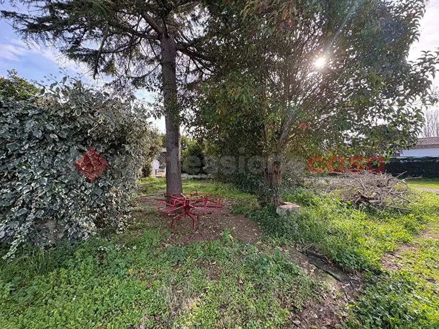 Immagine 40 di Bar / Ristorante in vendita  in Via Punta Fiume, snc a Sessa Aurunca