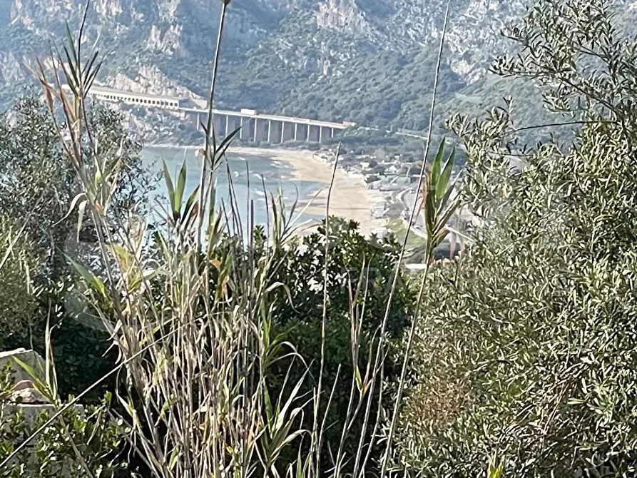 Immagine 9 di Terreno agricolo in vendita  in LocalitÃ  Monte a Mare, s.n.c a Gaeta