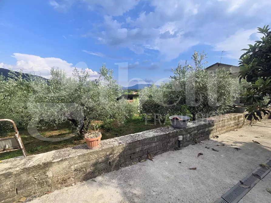 Immagine 47 di Villa in vendita  in Via Strada Vicinale Torretta, 52 a Piglio