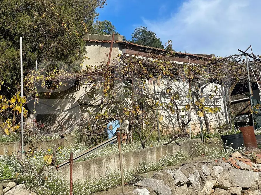 Immagine 13 di Terreno agricolo in vendita  in Via Sant'Agostino, snc a Gaeta