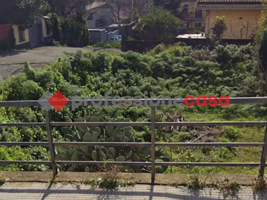 Immagine 2 di Terreno residenziale in vendita  in Via XVI Traversa, Snc a Belpasso