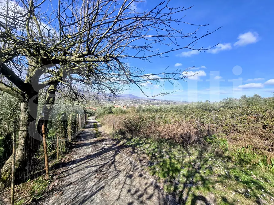 Immagine 5 di Rustico / casale in vendita  in Via Fonte del Colle, snc a Artena