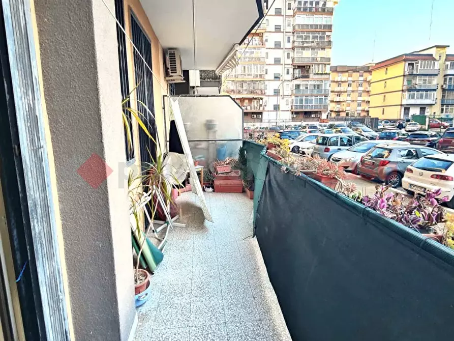 Immagine 14 di Appartamento in vendita  in Via PAVONCELLI a Bari