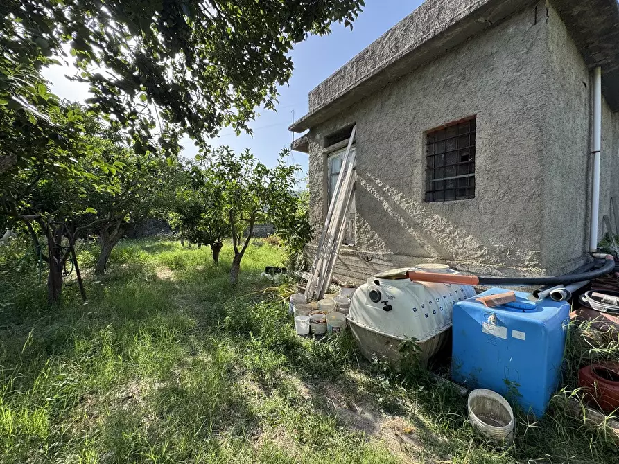 Immagine 11 di Terreno agricolo in vendita  in Strada comunale, snc a Rometta