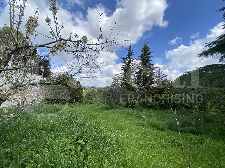 Immagine 6 di Villa in vendita  in Via S.P. 18, 76 a Cassano Delle Murge