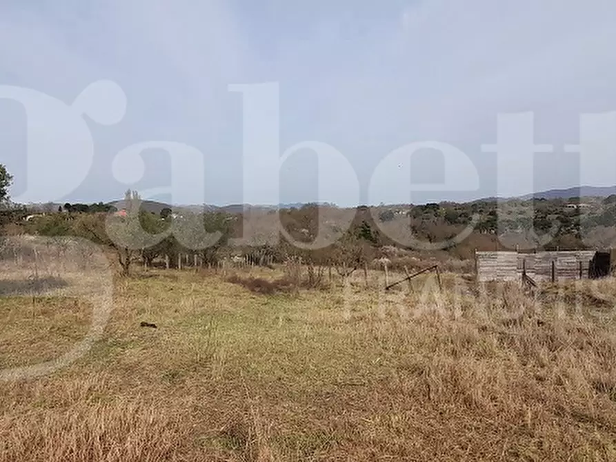 Immagine 7 di Terreno agricolo in vendita  in Via CASALE DELLE PIETRISCHE, 00 a Manziana