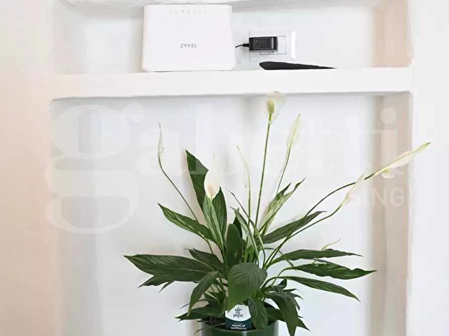 Immagine 6 di Casa indipendente in vendita  in Via Piccinni a Ostuni