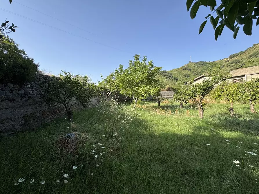 Immagine 6 di Terreno agricolo in vendita  in Strada comunale, snc a Rometta