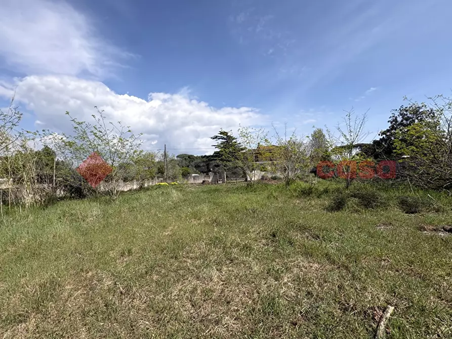 Immagine 9 di Terreno agricolo in vendita  in Via SAN FELICE CIRCEO TRAVERSA 23, 23 a Terracina