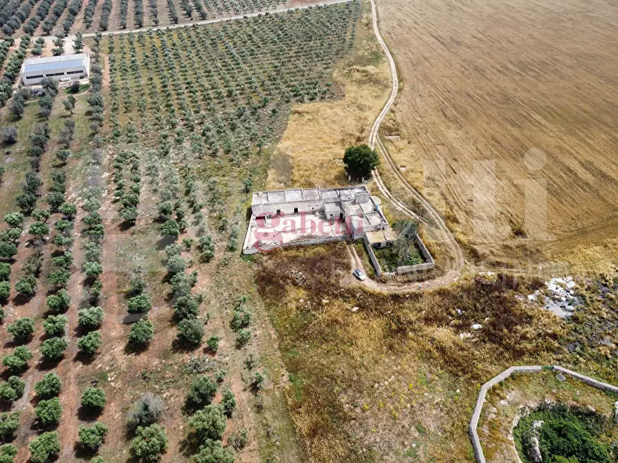 Immagine 34 di Villa in vendita  in Strada Provinciale 101, 1 a Campi Salentina