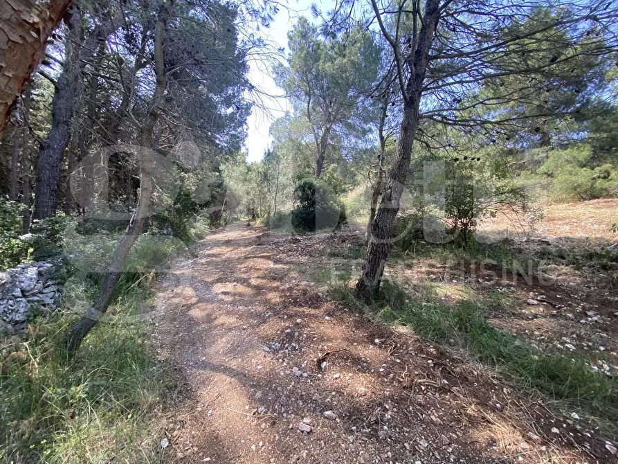 Immagine 32 di Villa in vendita  in Via S.P. 18, 76 a Cassano Delle Murge