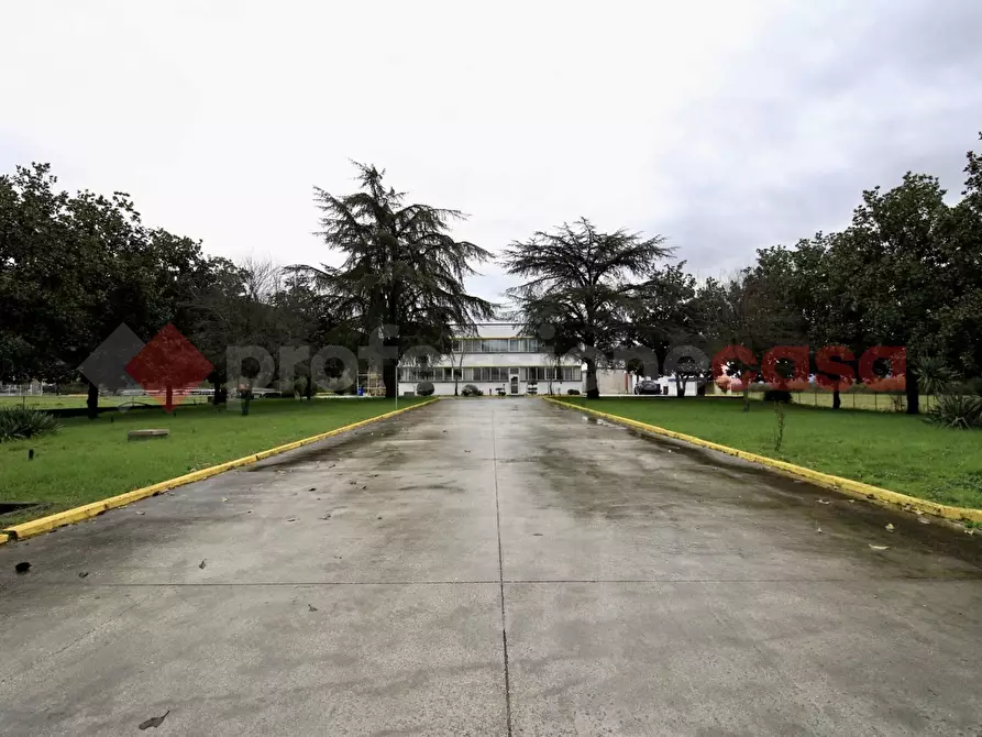 Immagine 45 di Capannone industriale in vendita  in LocalitÃ  Paduni, Osteria della Fontana, snc a Anagni